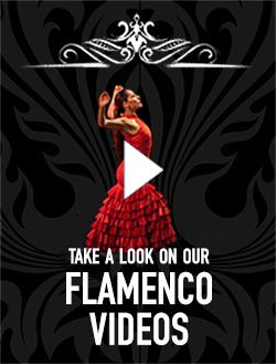Flamenco Videos
